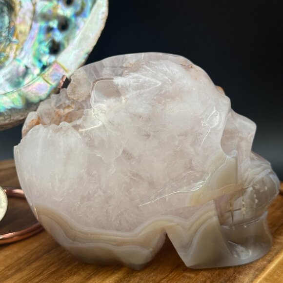 Orca Agate Skull Carving Quartz Pink Clear Neurology Neuro Surgery Office Decor - Picture 7 of 11